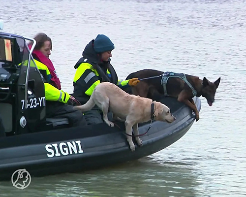 Stichting Signi zoekhonden